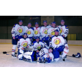 Buldok-team
