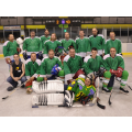 Team Rychlov 2013